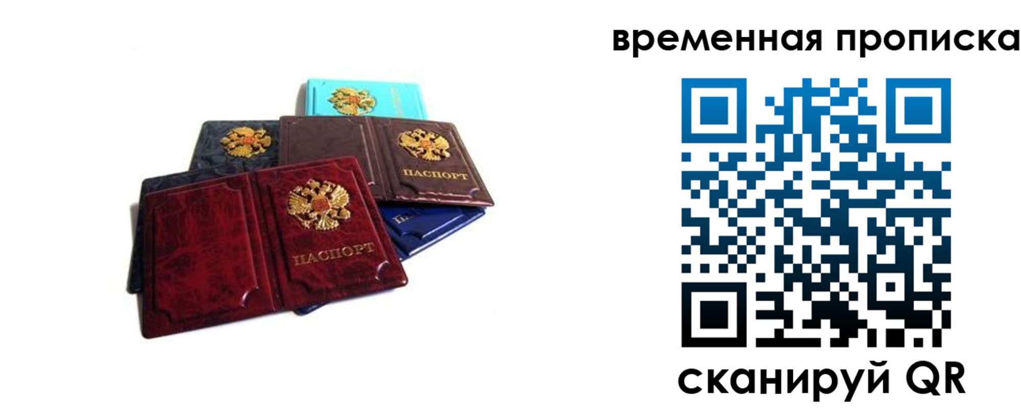 прописка законно в Болотном